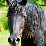 Le Domaine Du Douet Du Houle - Piscine Chauffee & - Calme - Confort 別荘 *