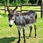 Le Domaine Du Douet Du Houle - Piscine Chauffee & - Calme - Confort Courcy