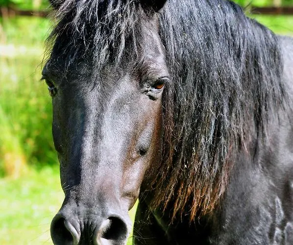 Le Domaine Du Douet Du Houle - Piscine Chauffee & - Calme - Confort Holiday home *