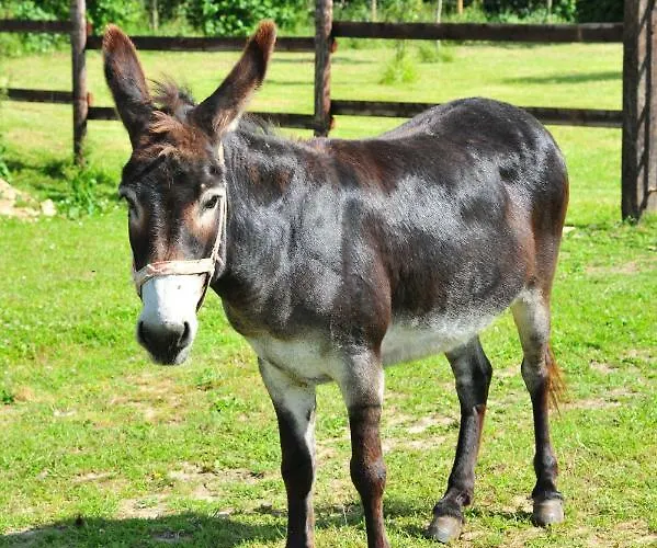 Le Domaine Du Douet Du Houle - Piscine Chauffee & - Calme - Confort Courcy (Manche)