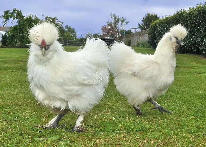 Le Domaine Du Douet Du Houle - Piscine Chauffee & - Calme - Confort Holiday home